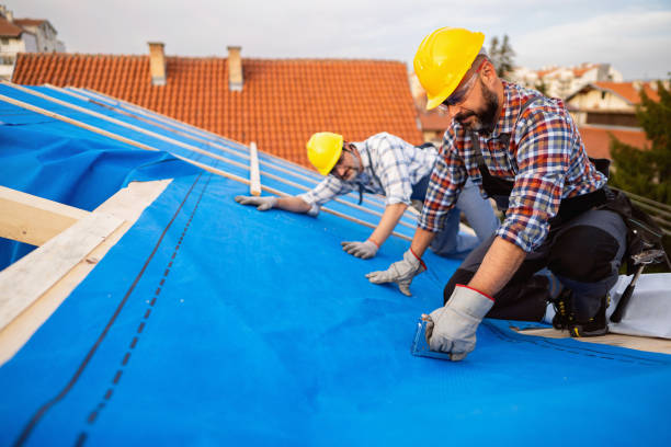 Best Metal Roofing Contractor  in Auburn, KS