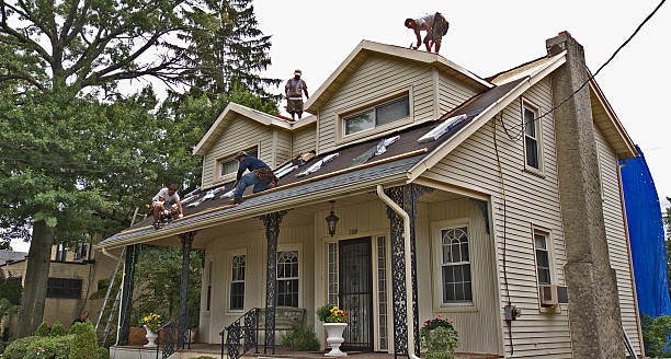Best Metal Roofing Contractor  in Auburn, KS